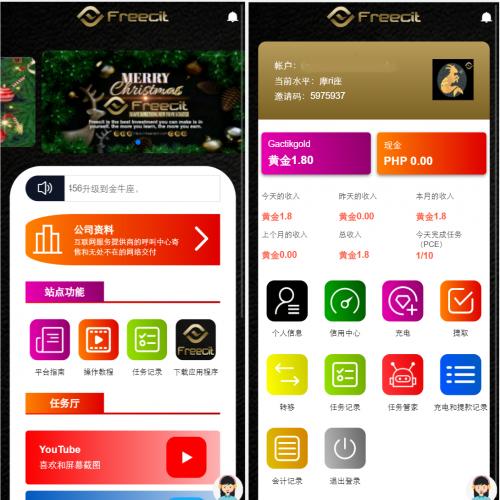 海外版TIKTOK脸书任务点赞系统+内置客服