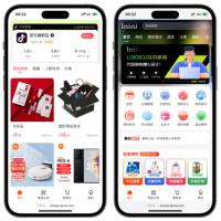 Saas版本仿抖音商城系统源码