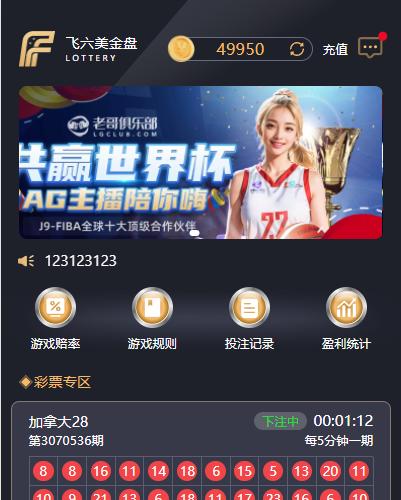 java版28游戏源码前端vue带源码后端java纯源码全开源可二开PC28带追号